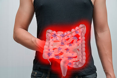 bacterias intestino